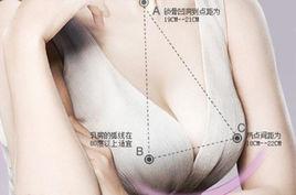 乳房[人體美學名詞]