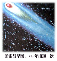 哈雷彗星蛋