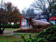 巢湖市臥牛山公園