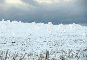 （圖）雪卷