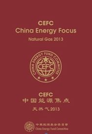 《中國能源焦點:天然氣2013》
