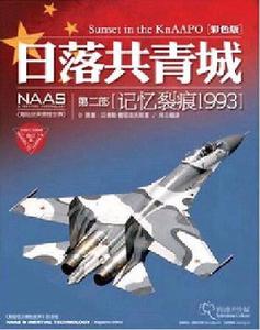 《NAAS:日落共青城 第二部記憶裂痕1993》