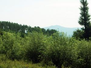 一面坡國家森林公園