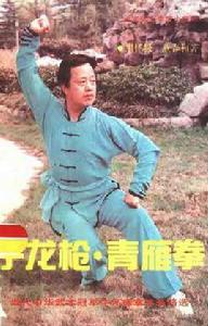 子龍槍·青雁拳