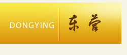 東營區人民政府