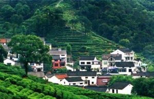 梅家塢茶文化村