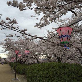 大阪城西丸庭園