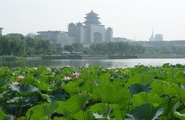 蓮花池公園