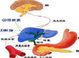 膽汁排泄受阻