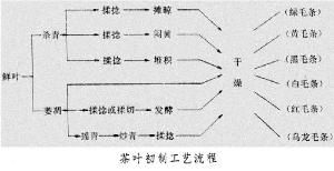 茶葉加工