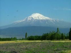 阿勒山