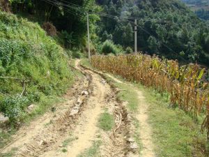 上乾塘自然村通村道路