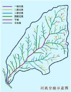 河流等級支流級