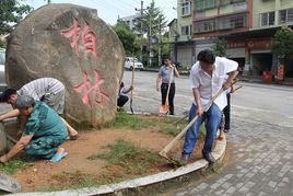 柏林鎮[重慶市江津區柏林鎮]