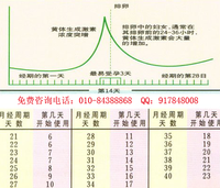 生理安全期