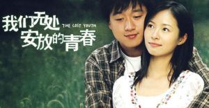 我們無處安放的青春[2008年陳道明主演電視劇]