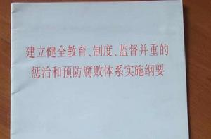 建立健全教育、制度、監督並重的懲治和預防腐敗體系實施綱要