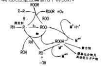 自氧化作用