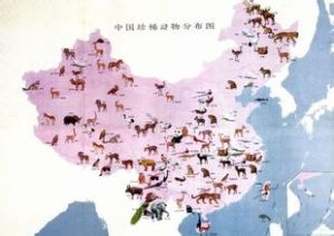 中國動物分布區