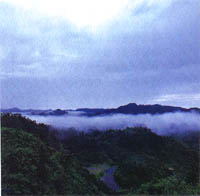 雷公山國家級森林公園