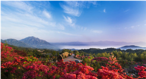 大別山映山紅生態文化大觀園