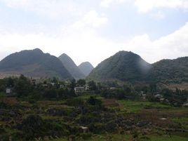 石筍村[廣南縣楊柳井鄉下轄村]