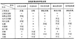 放線菌屬