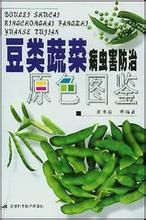 豆類蔬菜病蟲害防治原色圖鑑