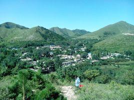 黃土嶺村[湖北省黃岡市羅田縣大崎鎮黃土嶺村]