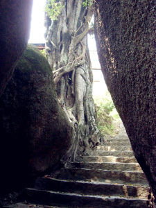 白水岩風景區