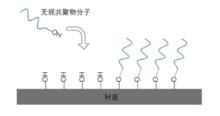 無規共聚物