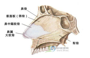 鼻外傷