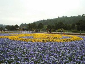 花園大道