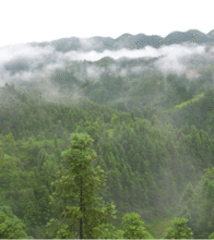 錦屏縣