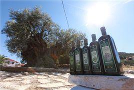 希臘橄欖油