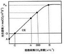 二氧化碳補償點