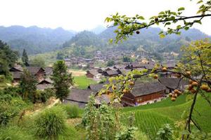 三都村[江西省上饒市廣豐縣豐溪街道三都村]