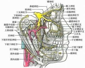 皮膚腦膜瘤