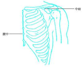 中府[人體腧穴]
