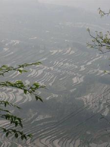 白雲觀梯田