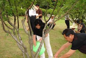 居民為自己認養的小樹澆水