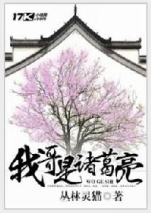 我哥是諸葛亮[17K小說網]