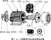 鼠籠式電動機結構示意圖