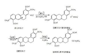 延胡索乙素