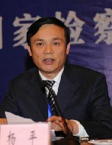 楊平[重慶市人民檢察院第五分院檢察長]