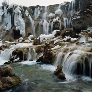 大雪山原始森林