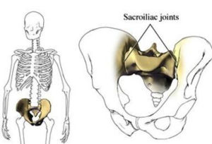 骶髂關節