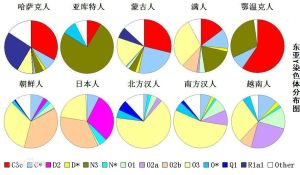 染色體分布