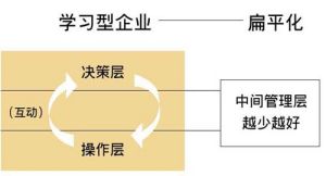 扁平化組織結構