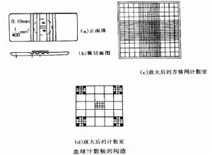 血球計數板